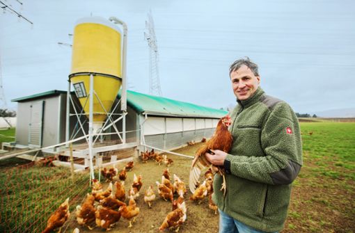 Um seine Hennen zu schützen, herrschen im Stall von Christoph Eberhardt ohnehin strenge Hygienemaßnahmen. Foto: Ines Rudel