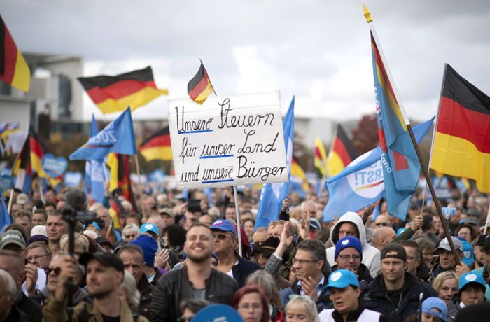 Alternative für Deutschland: Menschenrechtsinstitut hält Verbot der  AfD  rechtlich für möglich