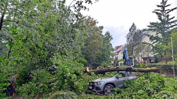 Vaihingen und Steinheim hat der Sturm am schlimmsten getroffen