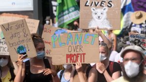 Clara Pretterebner: Ohne Hoffnung keine Klimawende
