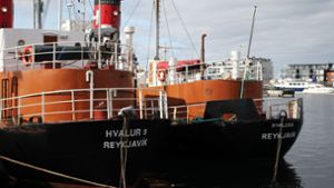 Island lässt Walfang unter strengen Auflagen wieder zu