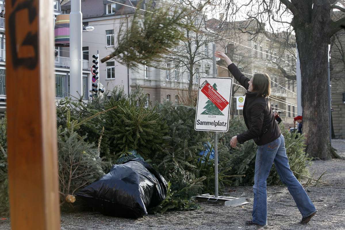 Esslingen: Stadt richtet wieder Sammelstellen ein: Wohin mit dem ausgedienten Weihnachtsbaum?
