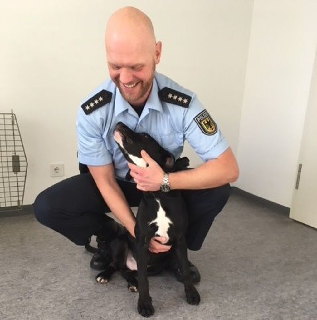 Die Polizei sucht Zeugen und Besitzer: Hund in Zugtoilette ausgesetzt