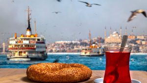 Wichtige Aspekte, die man beim Umzug in die Türkei berücksichtigen muss