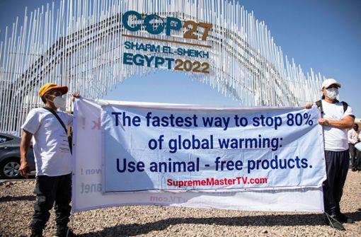 Aufruf zum Verzicht auf Fleisch: Bei der Weltklimakonferenz darf protestiert werden. Foto: dpa//Gehad Hamdy