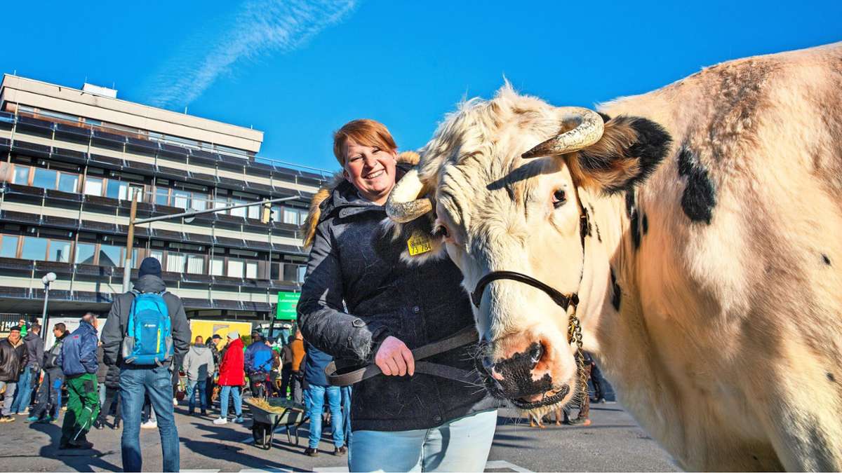 Bauernprotest in Nürtingen: Warum ein Ochse vor der Zulassungsstelle steht