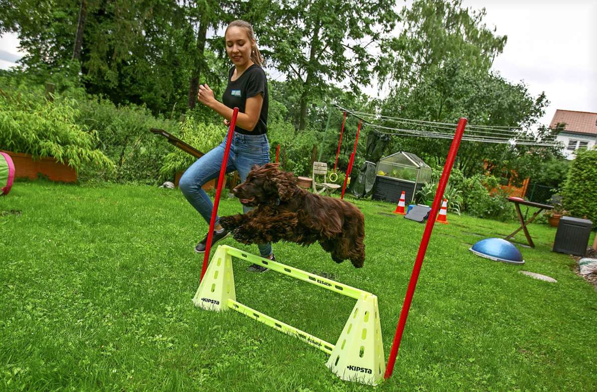 Hunde-Hindernislauf im Fernsehen: Esslingerin bei  RTL-Show Top Dog