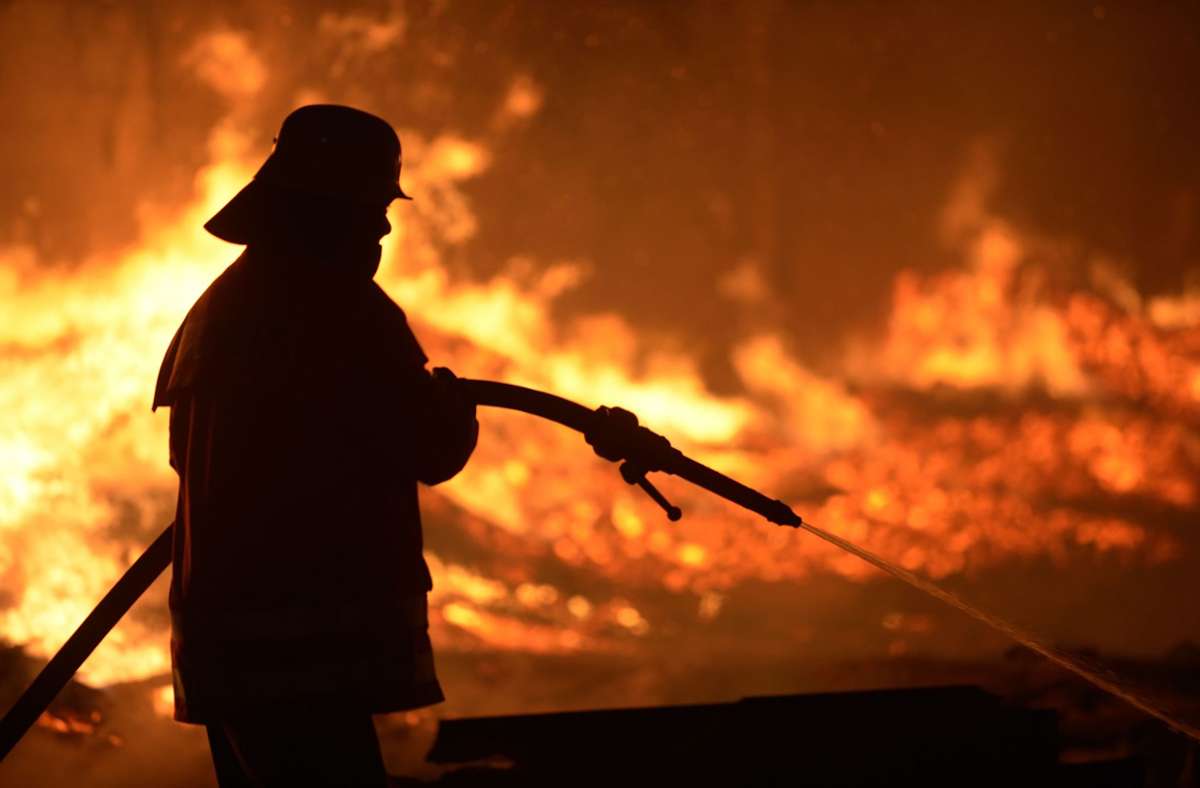 Brandstiftung in Leinfelden-Echterdingen: Unbekannter steckt Weihnachtsbäume in Brand