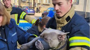 Feuerwehr rettet Hund aus eiskaltem Auto