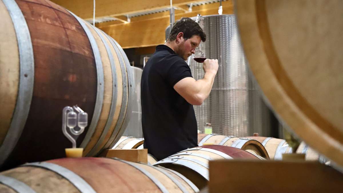 Wechsel in Kernen: Neustart für die Stettener  Weinprobe an der Yburg