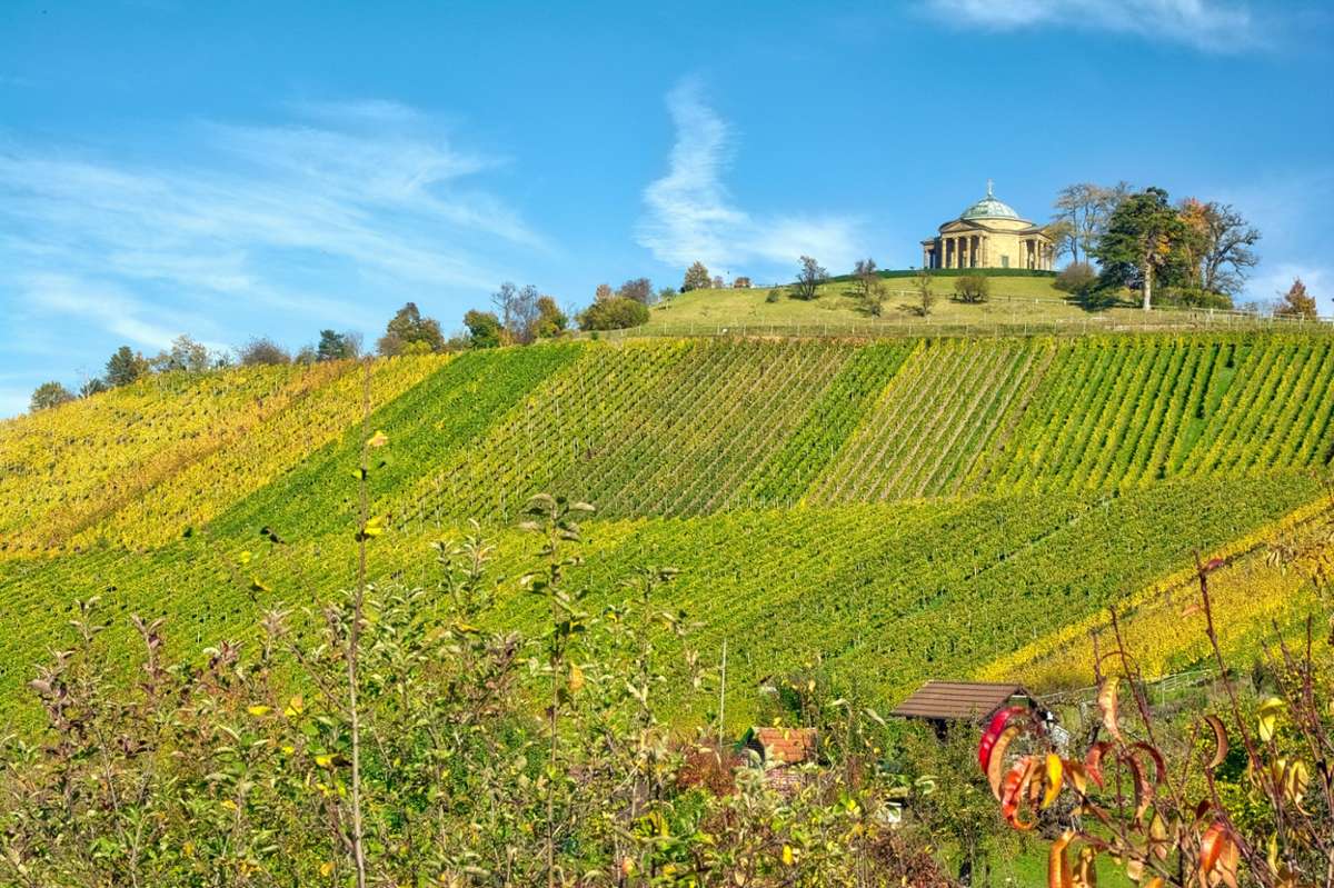 Die Stuttgarter Weinwanderwege führen durch die malerischen Landschaften der Weinberge in der Umgebung und auch zentrumsnah.