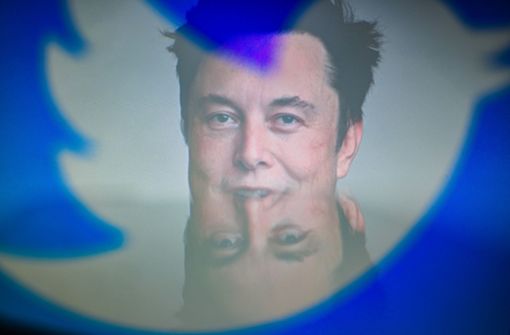 Will Twitter neu aufstellen: Elon Musk Foto: dpa/Adrien Fillon