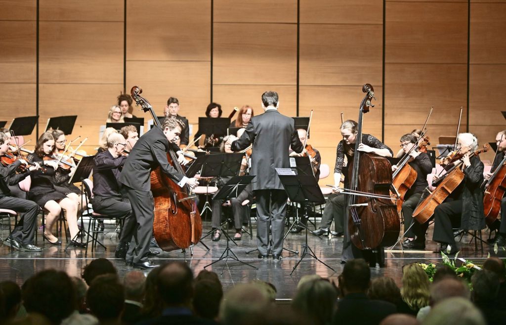 Symphonisches Orchester Ostfildern widmet sein Frühjahrskonzert dem Kontrabass: Im Zeichen des Kontrabasses