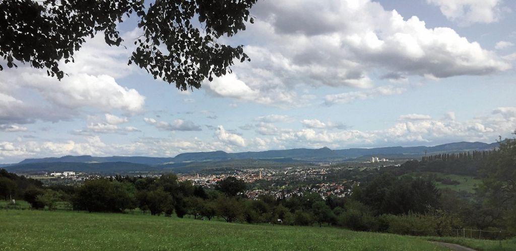 Einen prächtigen Panoramablick auf Nürtingen und den Albtrauf kann man auf der Oberensinger Höhe von der Alten Linde aus genießen. Fotos: oh