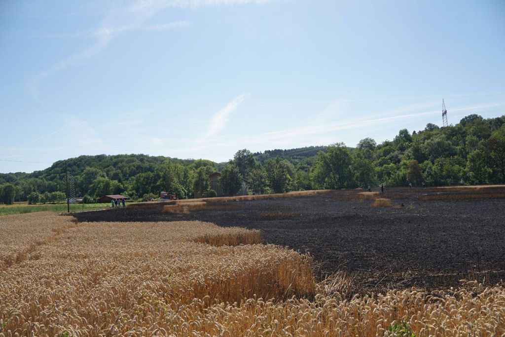 Vier Hektar eines Getreidefelds in Flammen: Brennende Weizenfelder: Großeinsatz der Feuerwehr in Dettingen