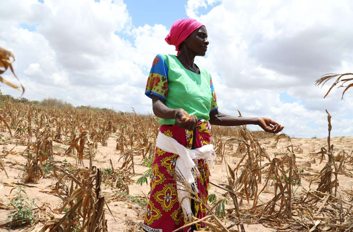 Hungersnot am Horn von Afrika: Schlimmste Dürre seit 40 Jahren bedroht Millionen Afrikaner