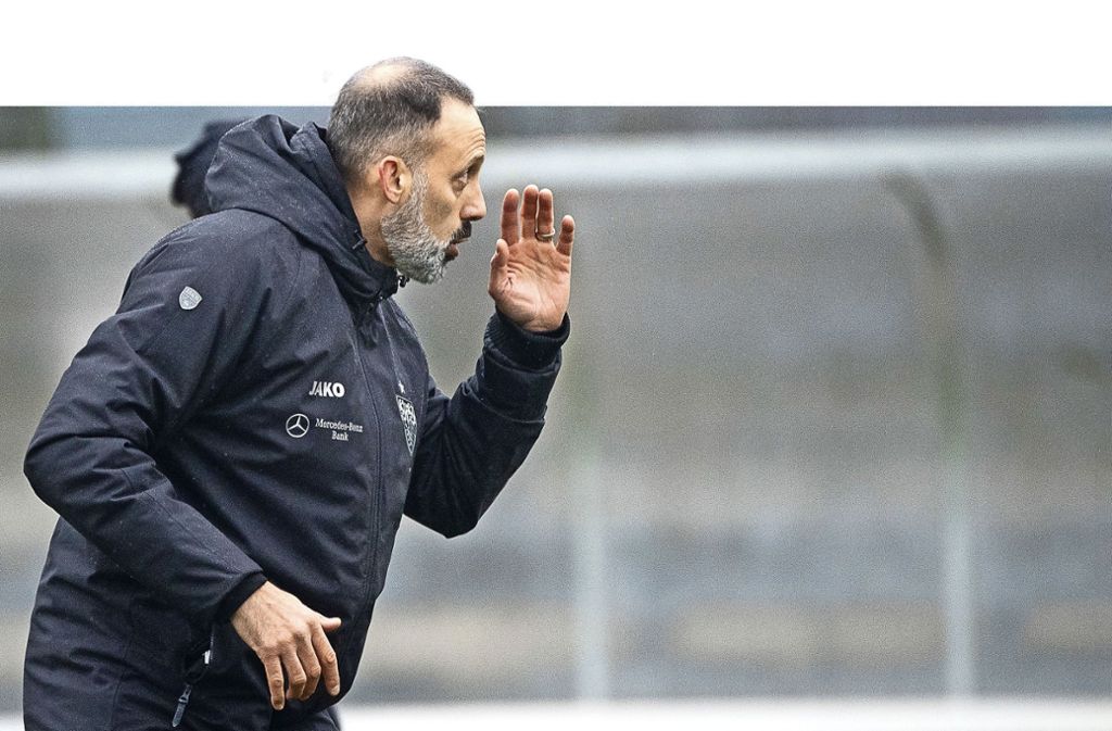 Pellegrino Matarazzo, der neue VfB-Trainer, unterscheidet sich in vielerlei Hinsicht von Vorgänger Tim Walter: Matarazzo beginnt mit Training