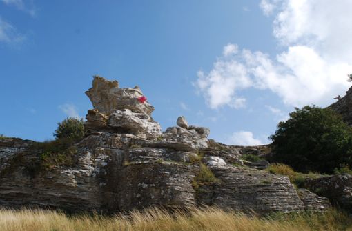 An der Südspitze Gotlands thront der bekannteste Kalksteinfels: der Hoburgsmann. Foto: Bettina Bernhard