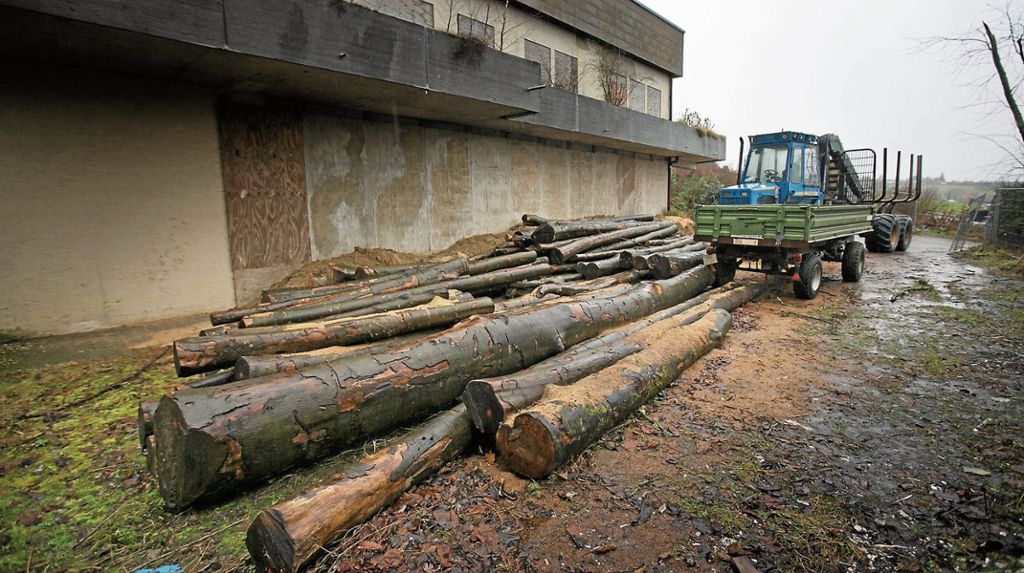 OSTFILDERN:  Anlieger in der Parksiedlung sehen Artenschutzrecht verletzt - Baubürgermeisterin: Keine Eingriffe ins Unterholz: Ärger wegen Baumfällarbeiten