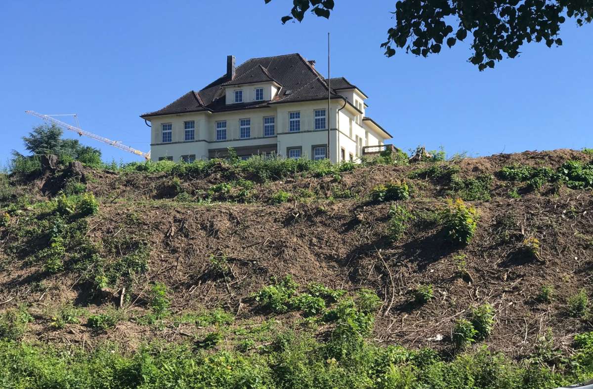 Villa Fuchs in Heilbronn: Steht auch ein Garten unter Denkmalschutz?