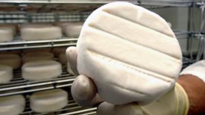 Lebensmittel: Forschende warnen vor Ende von Camembert-Pilz