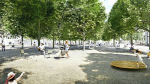 Bäume sollen Ludwigsburger  Stadtklima verbessern