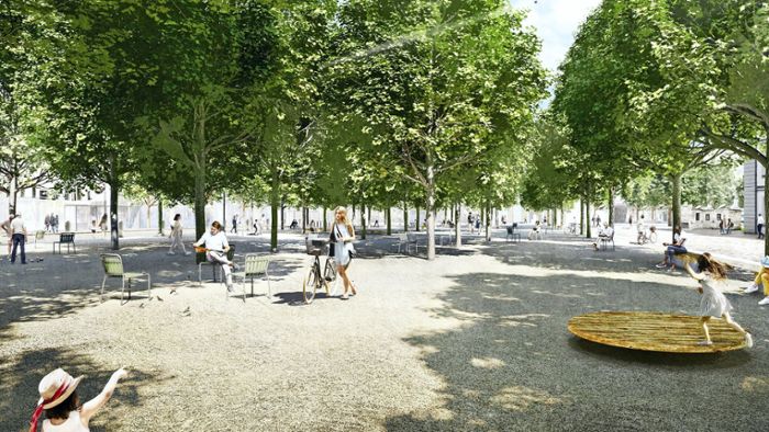 Bäume sollen Ludwigsburger  Stadtklima verbessern