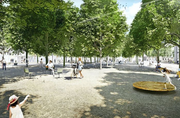 Innenstadt Ludwigsburg: Bäume sollen Ludwigsburger  Stadtklima verbessern