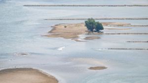 Kommunen warnen vor Niedrigwasser - „Das wird zunehmend zur Regel“