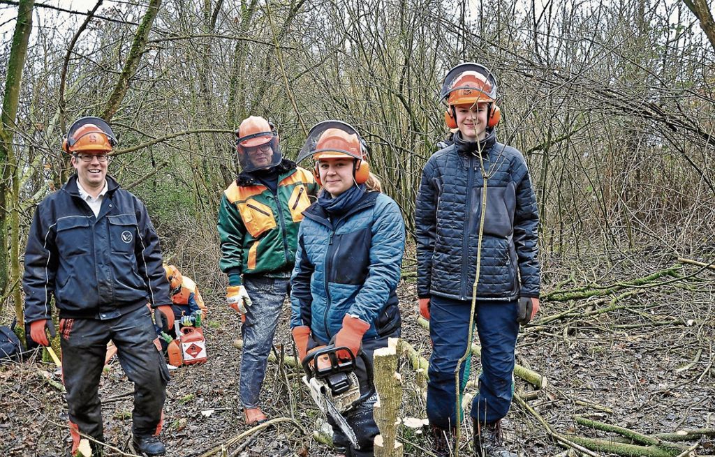 OSTFILDERN:  Nabu-Ortsgruppen bietet einen Kurs für Anfänger an - Theorie und Praxis in drei Tagen: Naturschutz mit Motorsägen