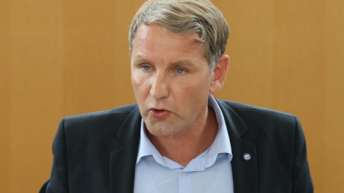 Björn Höcke als AfD-Landeschef bestätigt
