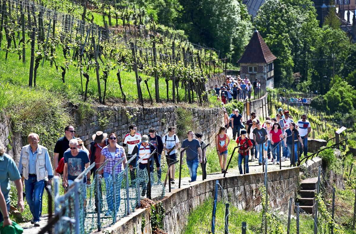 Massenweise Weingenießer in den Esslinger Steillagen Foto: Horst Rudel