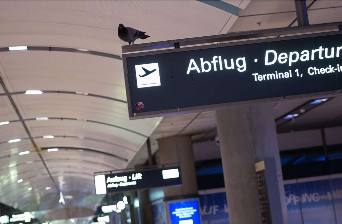 Hamburger Flughafen: Flugverkehr  wegen Anschlagsdrohung eingestellt