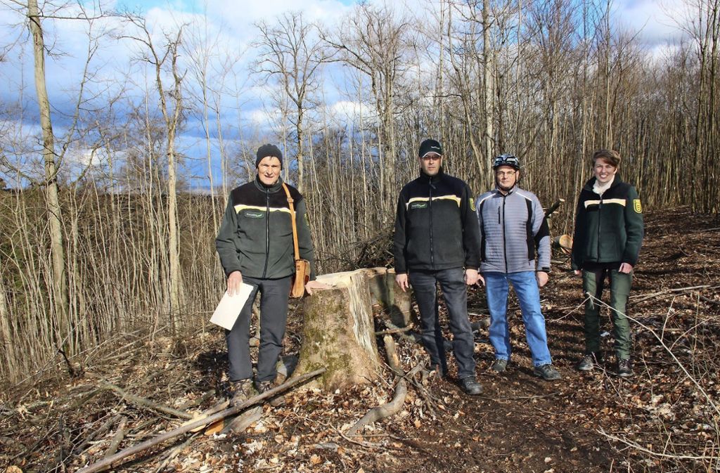 Fällaktion im Wald – Kreisforstamt Esslingen um Klärung gebeten: Ärger um Fällarbeiten in Wolfschlugen