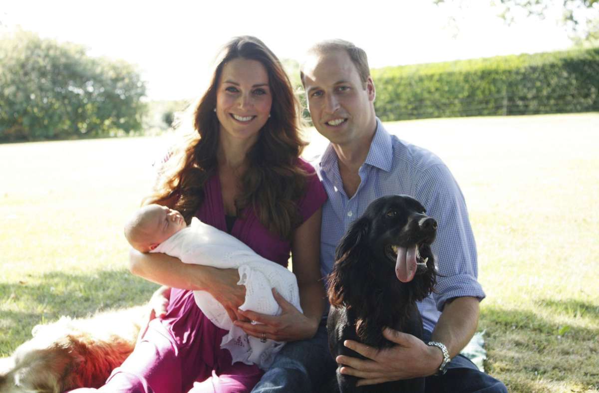Royaler Hund: Kate und William haben wieder einen Welpen