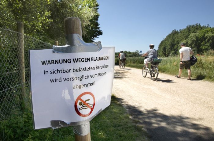 Neckartailfingen: Erneut Warnung vor Blaualgen im Aileswasensee