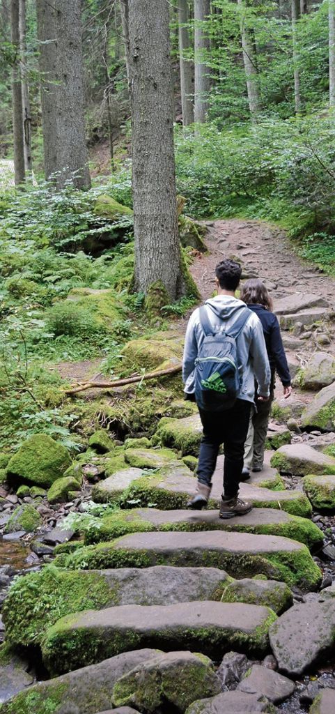 BAD LIEBENZELL: Das Monbachtal ist ein verstecktes, mystisches Kleinod - Ein abenteuerlicher Tagesausflug in den Nordschwarzwald: Durch den Zauberwald