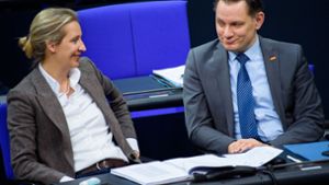 Weidel will mit Chrupalla Spitzenteam für Bundestagswahl bilden