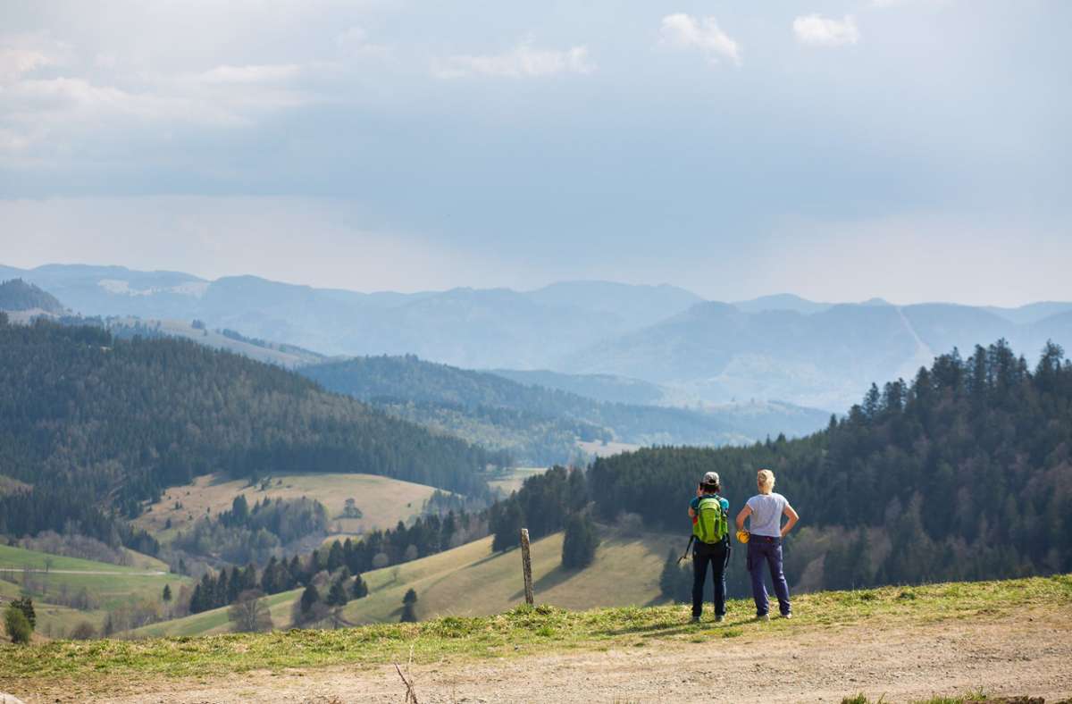 Gratis-Kurzbesuche ade?: Schwarzwald-Besucher sollen „Umwelteuro“ bezahlen