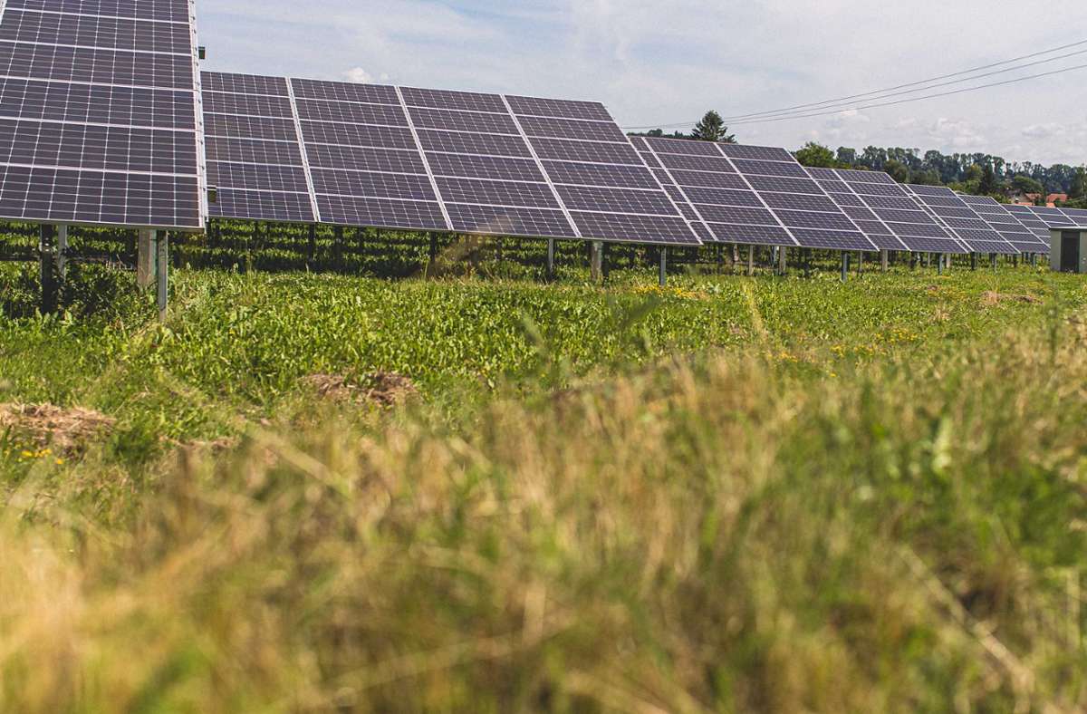 Brandenburg: EnBW nimmt Deutschlands größtem Solarpark in Betrieb