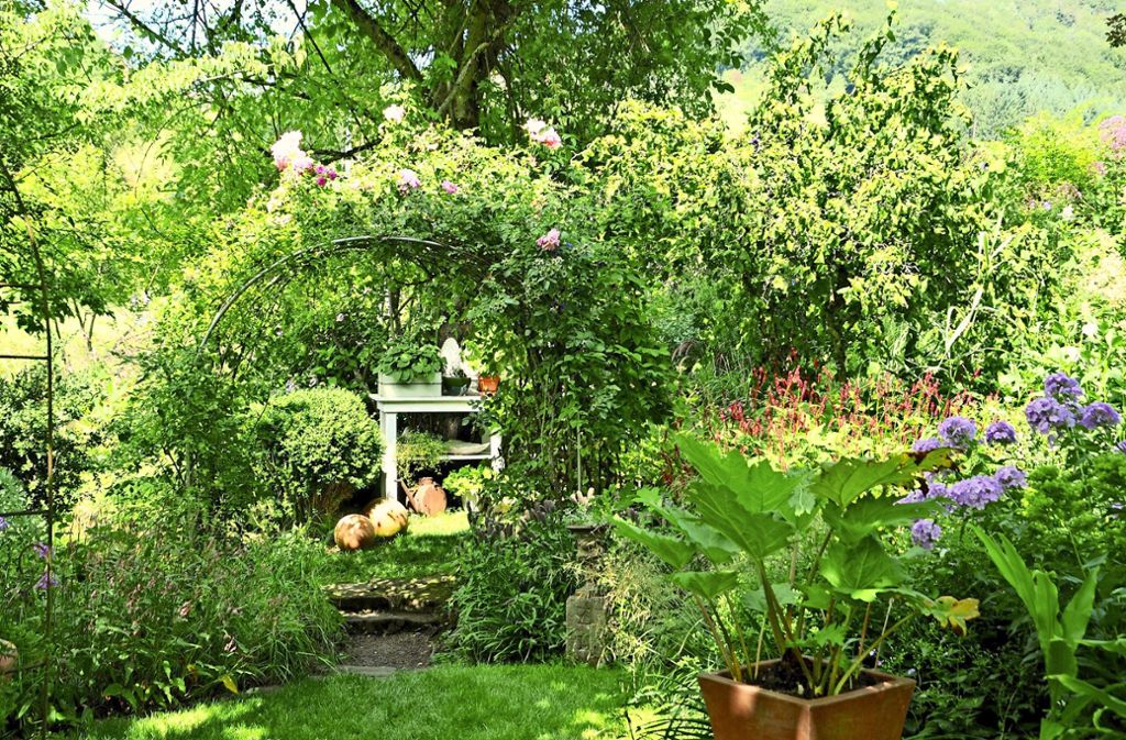 Einen romantischen Rosenbogen hat Ursula Hauber in ihrem Garten nahe Freiburg . . .