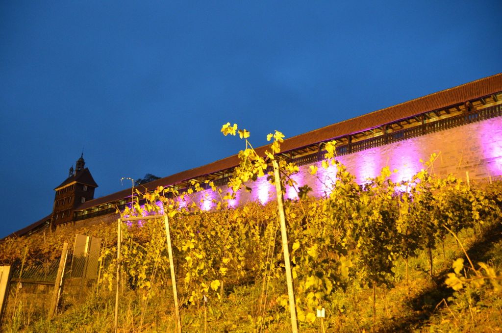 Zum Weltpankreaskrebstag: Die Esslinger Burg erstrahlt in lila