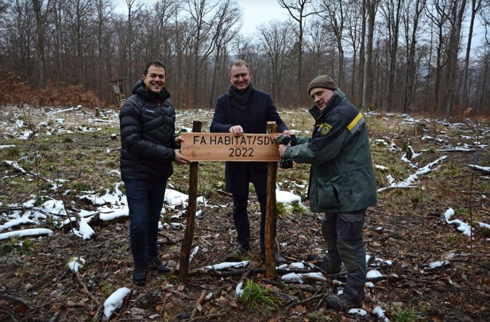 Neue Bäume für den Esslinger Wald: 500 Stieleichen, Hainbuchen und Winterlinden