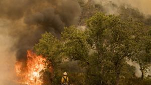 Vier Menschen sterben bei Waldbränden