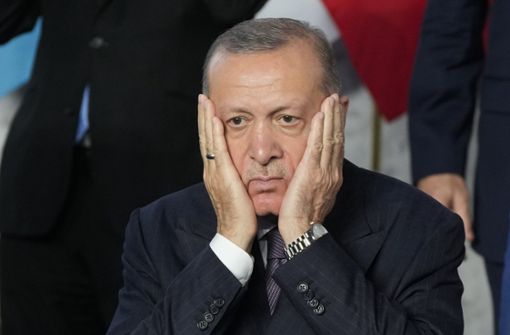 Erdogan bemüht sich nicht zuletzt wegen der Wirtschaftslage in der Türkei um internationales Wohlwollen. Foto: dpa/Gregorio Borgia