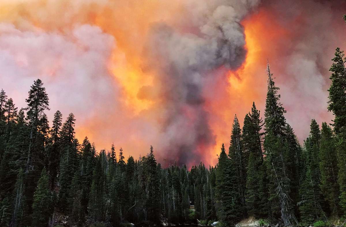 Waldbrände in Kalifornien: Kampf gegen das Feuer – Tausende Haushalte  ohne Strom
