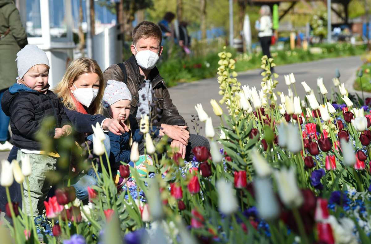 Überlinger Landesgartenschau eröffnet: Der Blumenduft muss durch die Maske