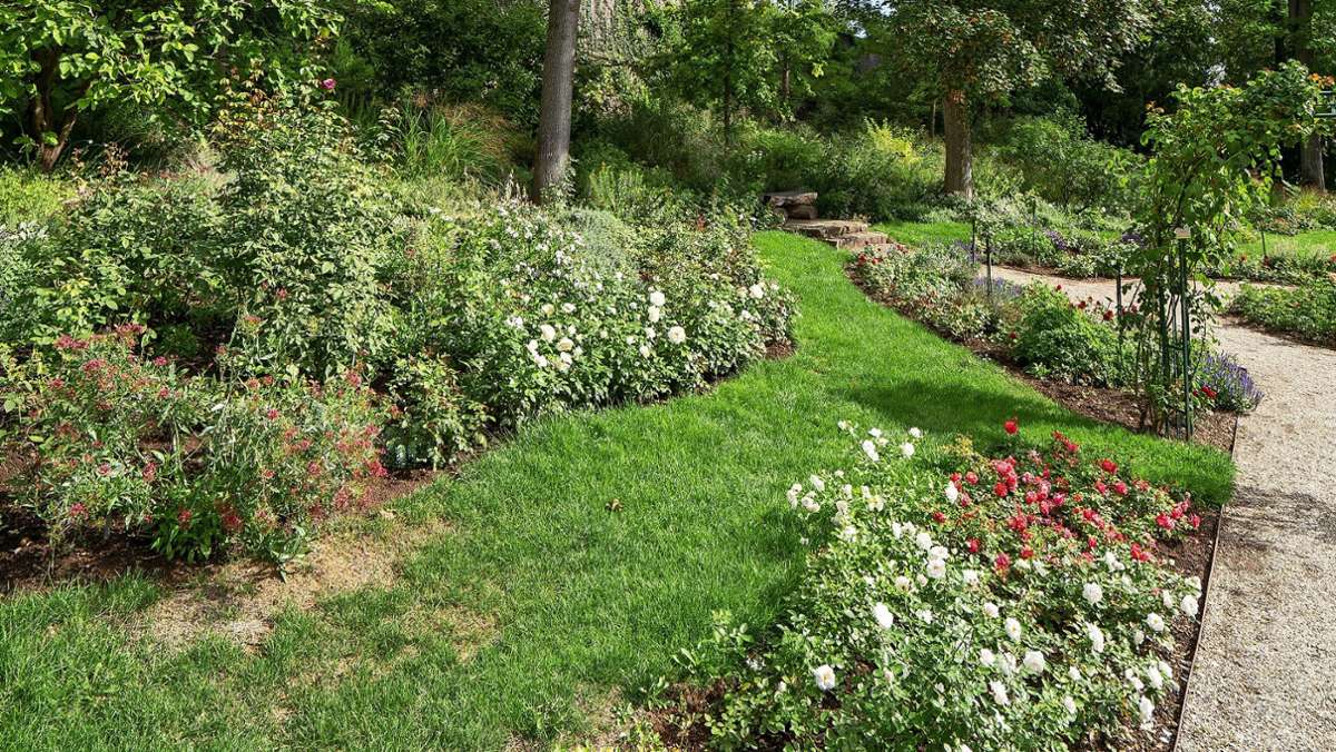 Tipps vom Blüba-Chef: Wie sich unsere Gärten verändern