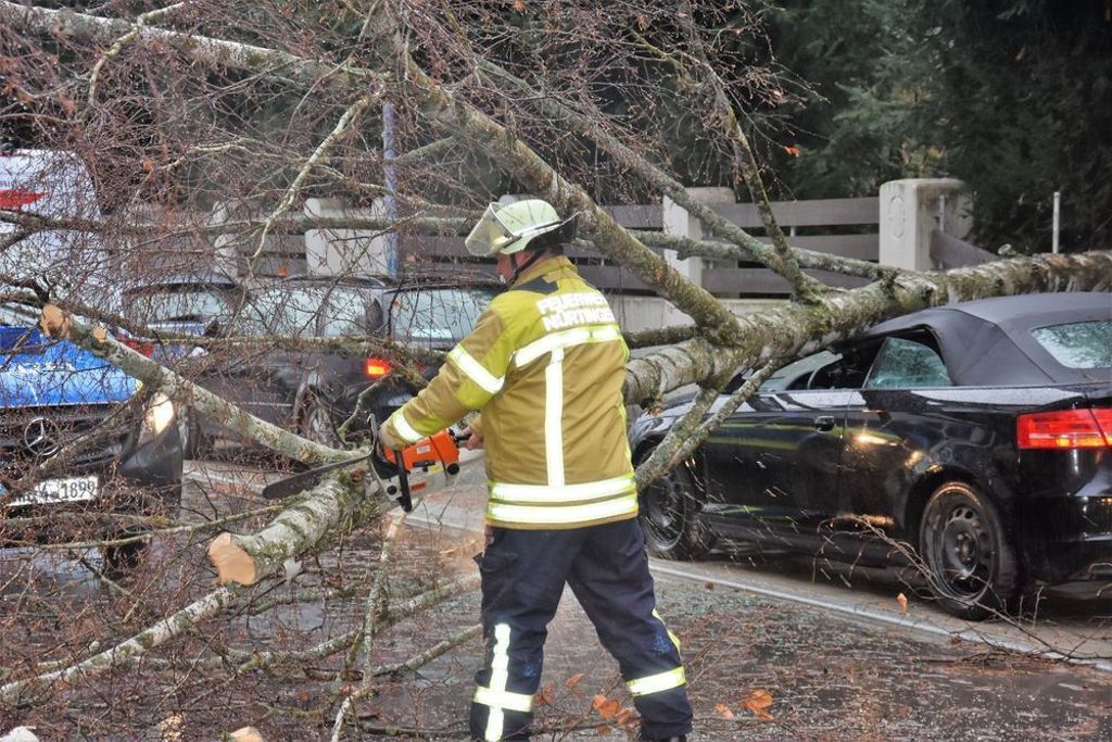 In Nürtingen fiel dieser Baum auf ein geparktes Auto.