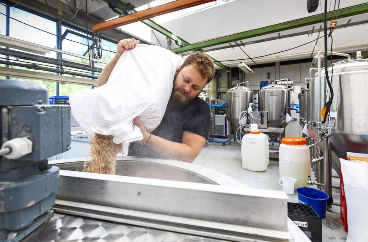 Brauerei Hey Joe Brewing in Murrhardt: Süffiges aus Haferflocken, Mango und Malz